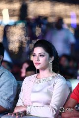 Mahanubhavudu Movie Thanks Meet